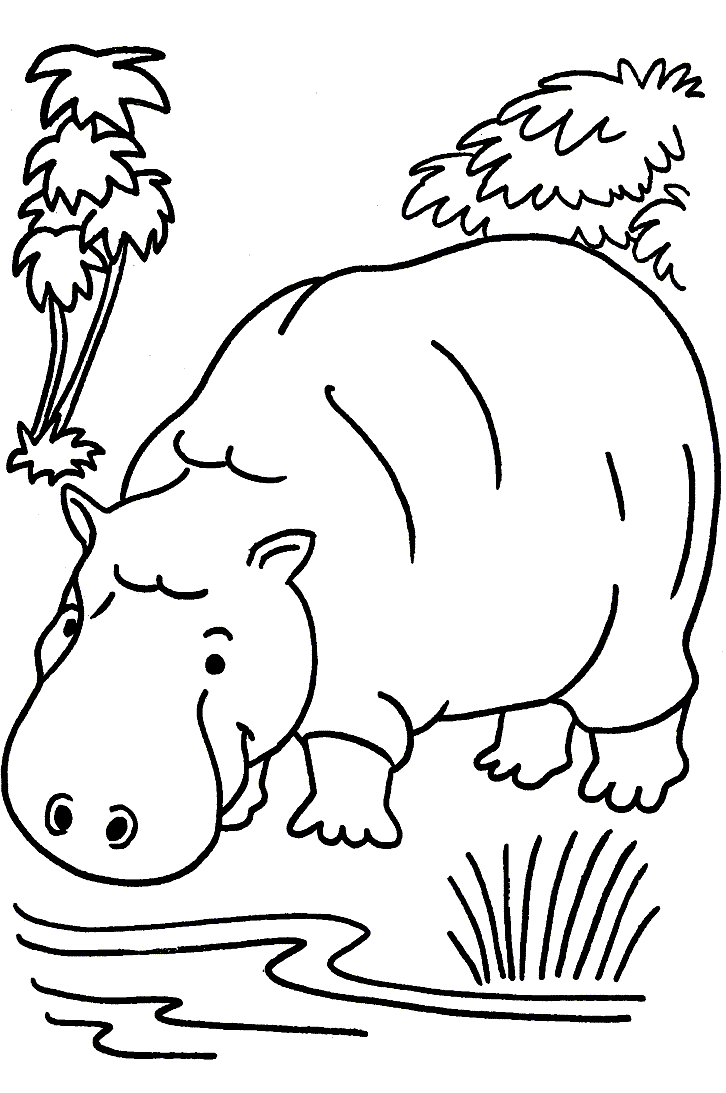 Coloriage Hippopotame